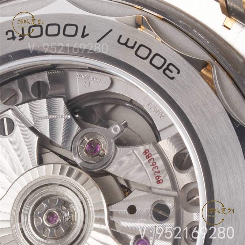 VS廠(SBF廠)黑海馬300機芯還會一眼假嗎,VS廠8800機芯還原正品避震器-復(fù)刻表